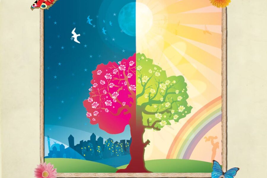 Zain Bhikha – Allah Knows album cover